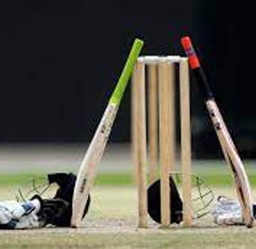 cricketsport